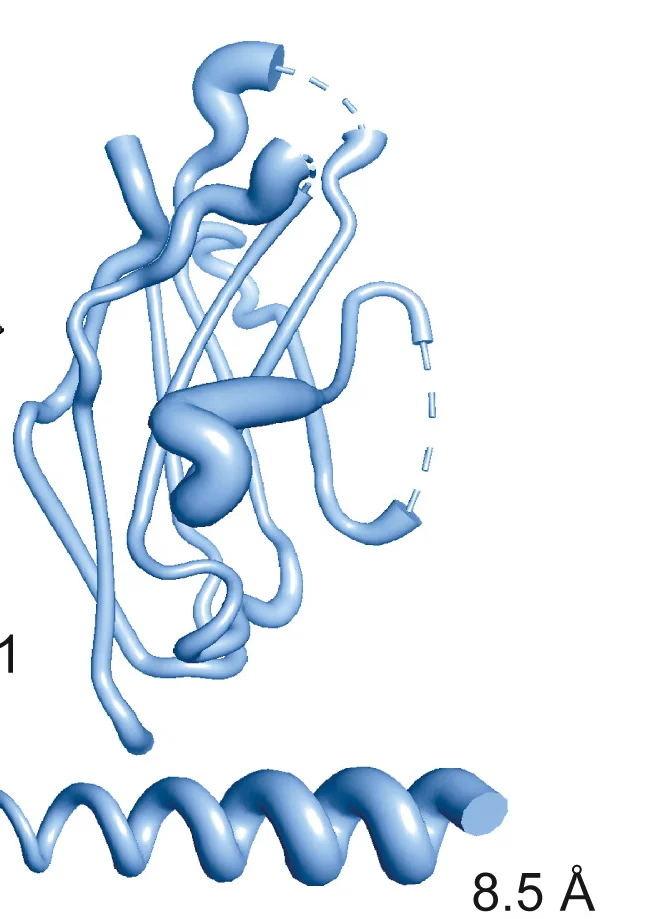 Open access visualization of Protein Structure, Apo PD-1, PD-1, Clone 19 Fab, Crystal Structure