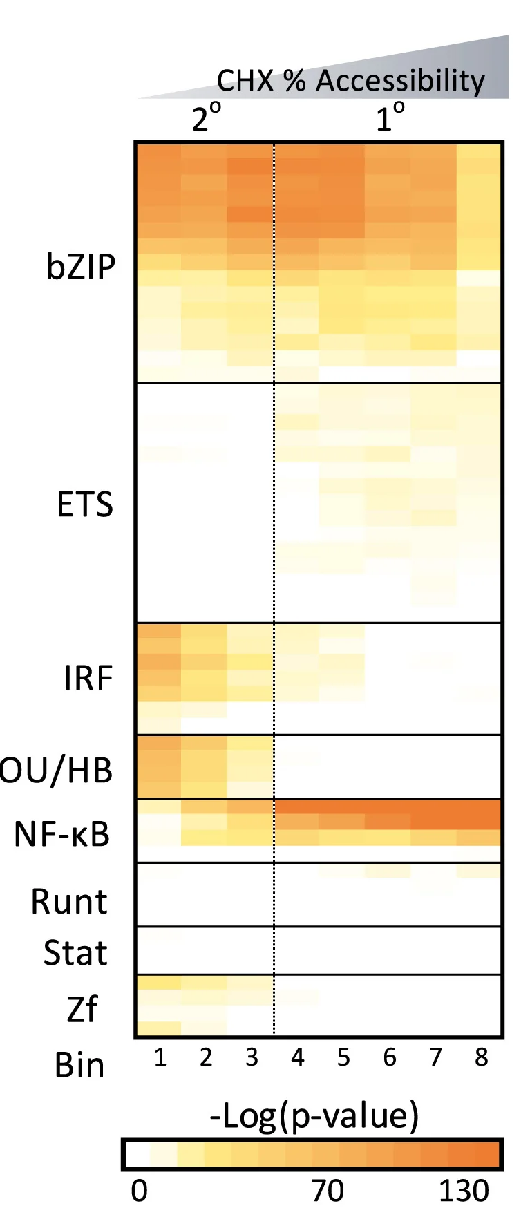 Open access visualization of Heatmap, ATAC-seq, Macrophages, Lipid-A Stimulation, CHX