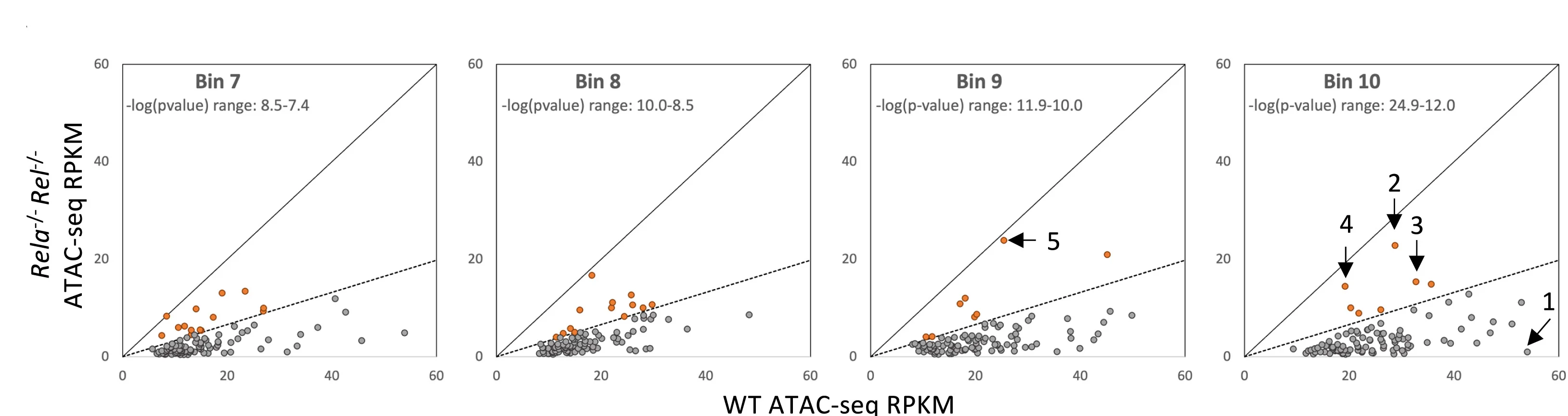 Open access visualization of Scatter Plot, ATAC-Seq, Macrophage Line, Rela-/-Rel-/- Lines, ATAC-Seq Peaks