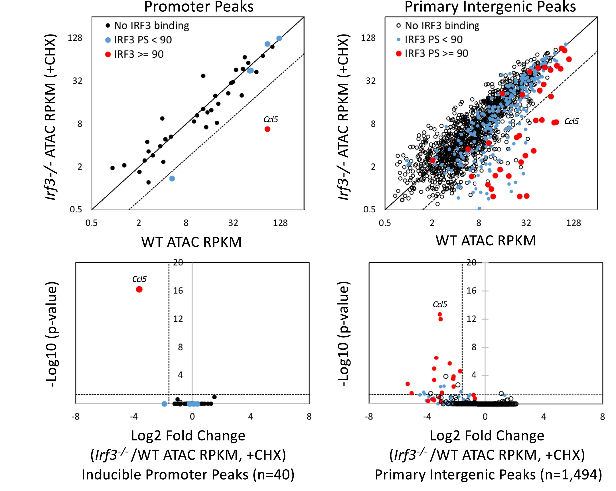 Open access visualization of Scatter Plot, Volcano Plot, ATAC-Seq, Wild-Type, IRF3