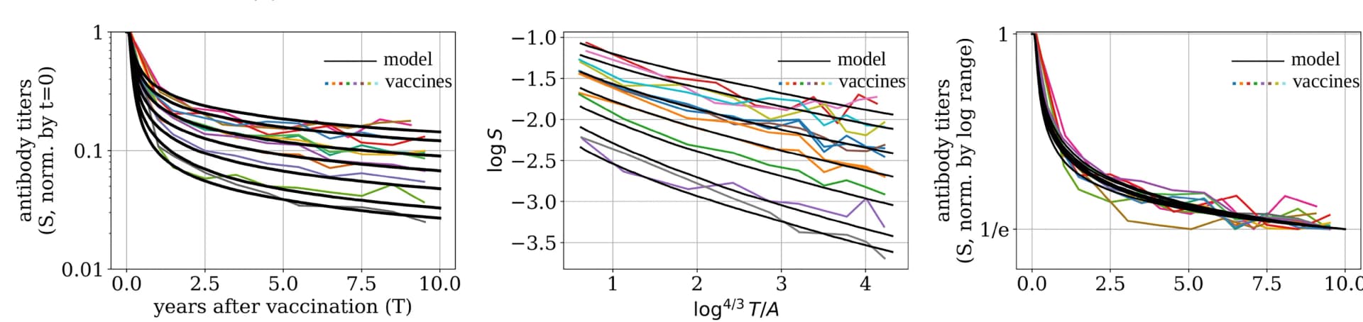 Open access visualization of Line Plot, Antibody Decay, Vaccines, Demographic Groups, Plasma Cells