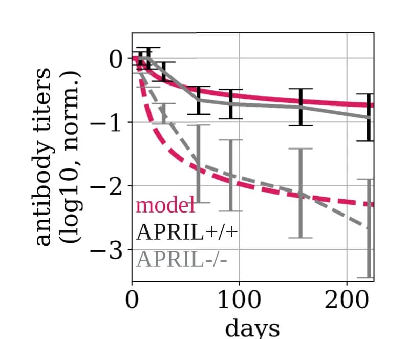Open access visualization of Line Plot, Error Bars, Mouse Model, Critical Point, Tetanus Antibodies