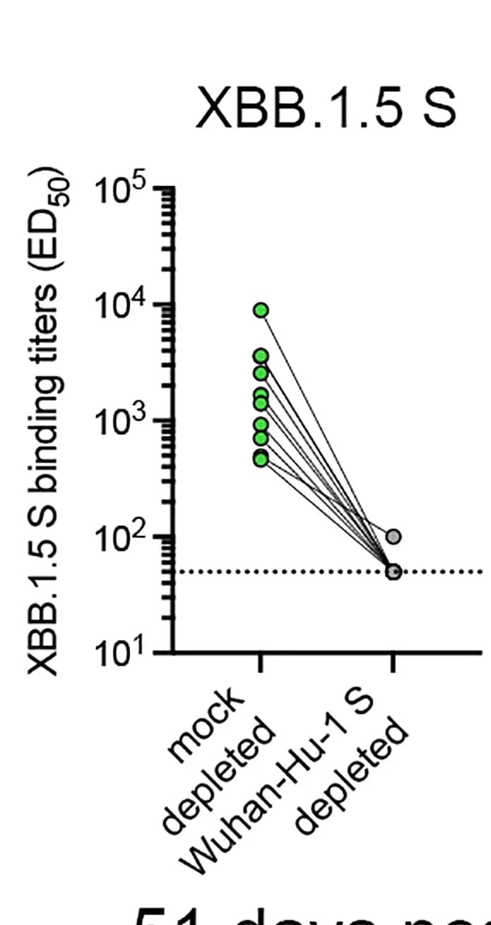 Open access visualization of Scatter Plot, Line Plot, Antibody Binding Titers, XBB.1.5 S, Vaccinee Plasma