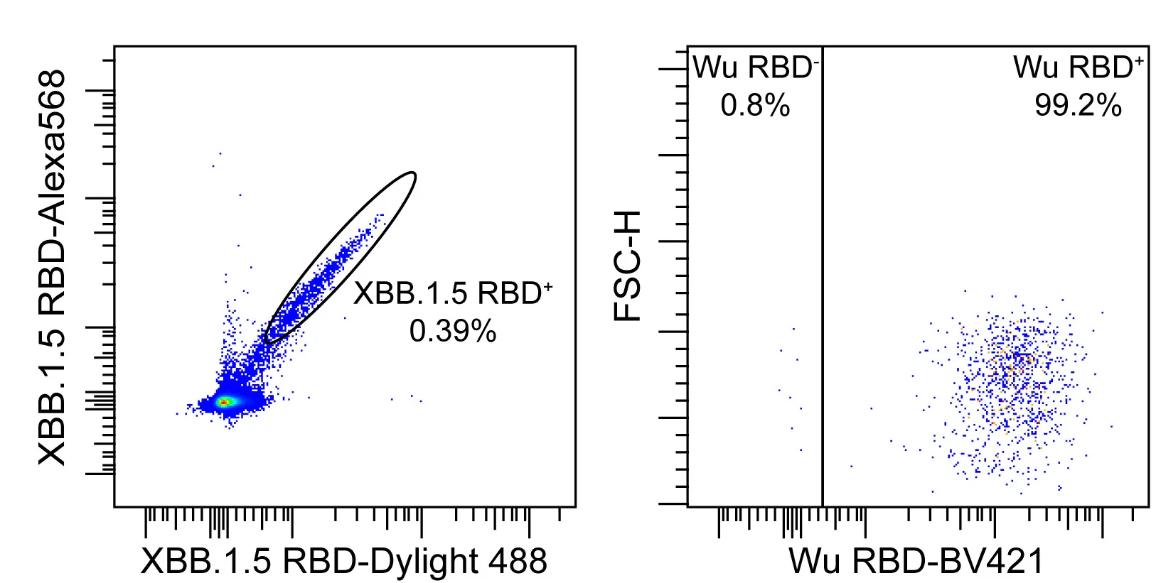 Open access visualization of Scatter Plot, XBB.1.5 RBD, Memory B Cells, Cross-Reactivity, Wuhan-Hu-1 RBD