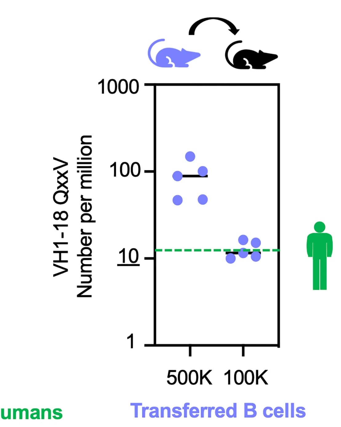 Open access visualization of Scatter Plot, B Cell Repertoires, CD45.1 Mice, CD45.2 B Cells, VH1-18 QxxV bnAb Precursor