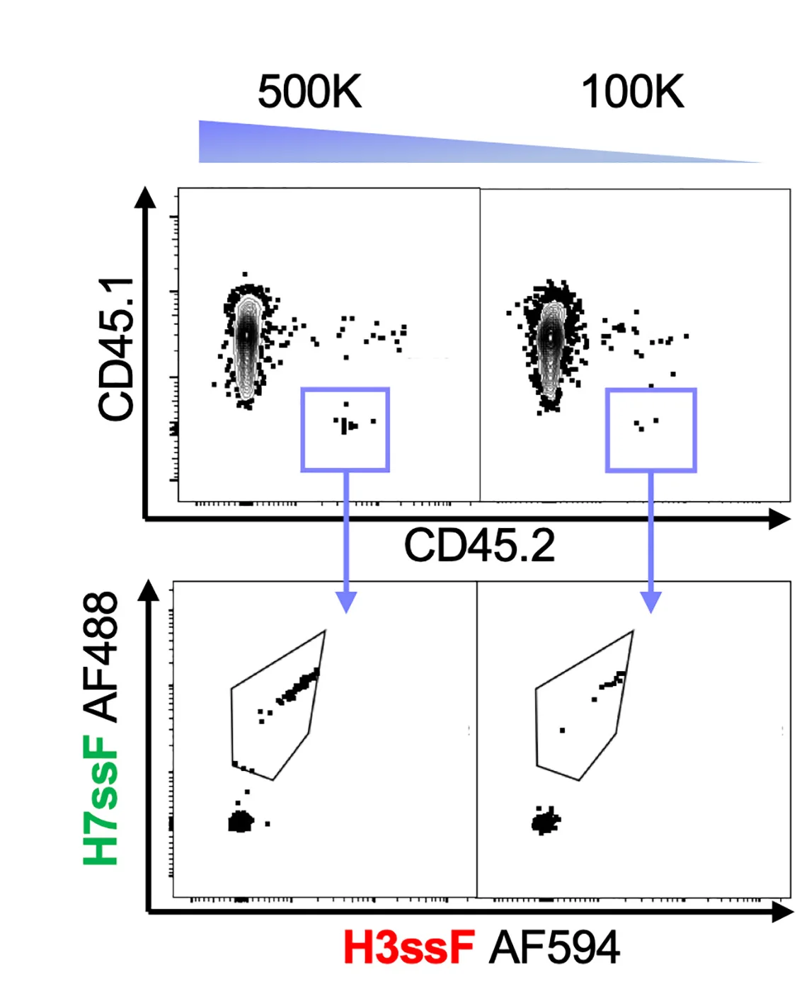 Open access visualization of Scatter Plot, B Cell Repertoires, CD45.1 Mice, CD45.2 B Cells, VH1-18 QxxV bnAb Precursor