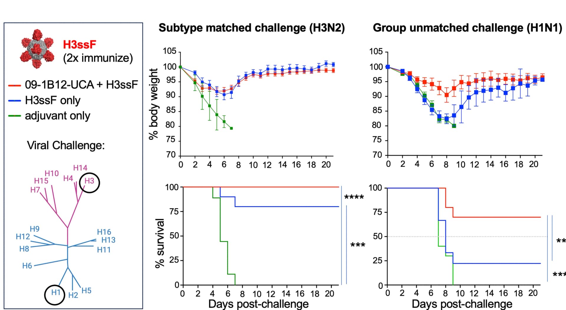 Open access visualization of Line Plot, Error Bars, Survival Curve, B Cells, Recipient Mice