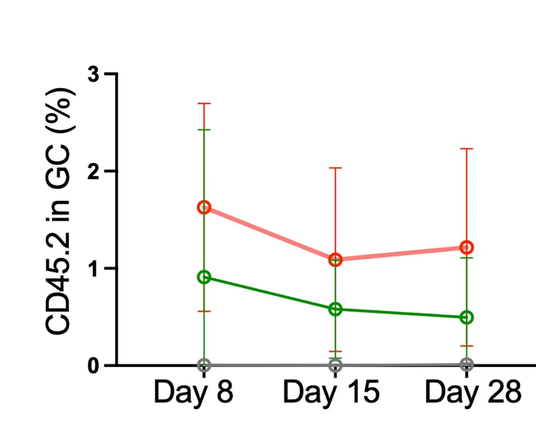 Open access visualization of Line Plot, Error Bars, B Cells, Germinal Centers, Quantification