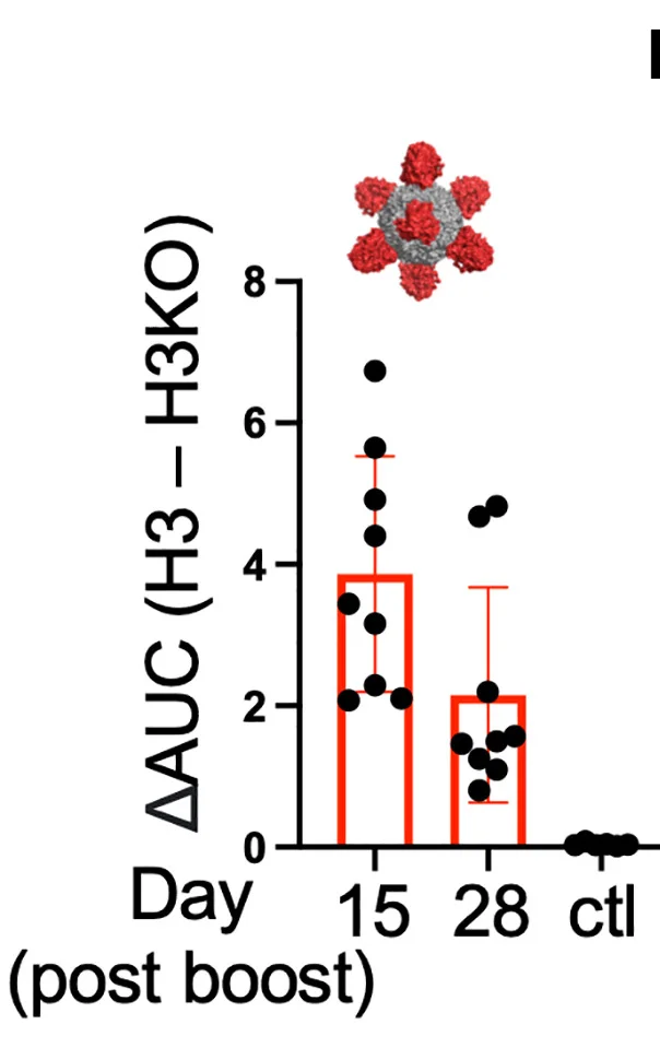 Open access visualization of Bar Plot, Error Bars, Scatter Plot, H3ssF, IgG
