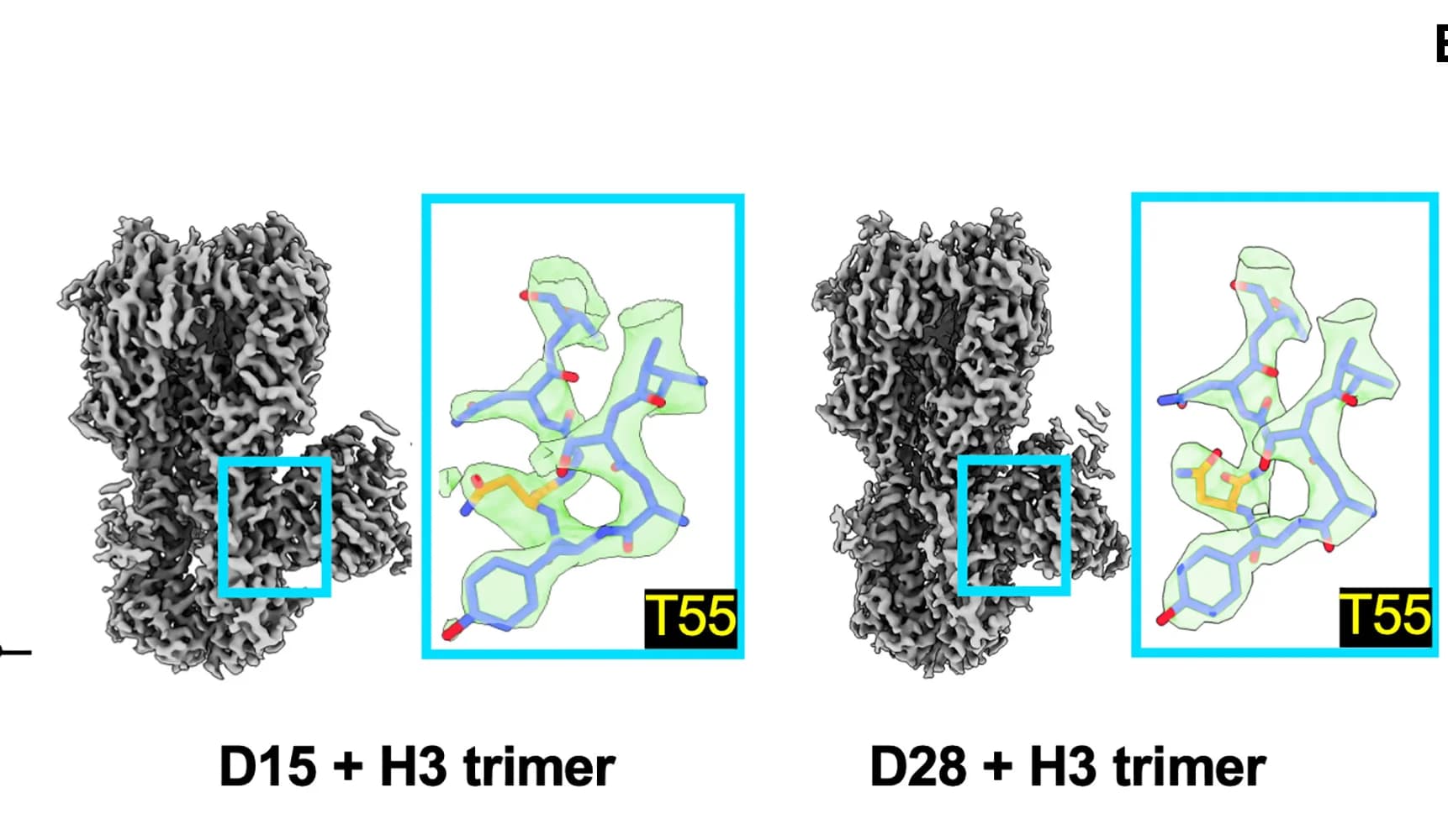 Open access visualization of Protein Structure, Chemical Structure, Cryo-EMPEM, H3ssF, Immune Sera