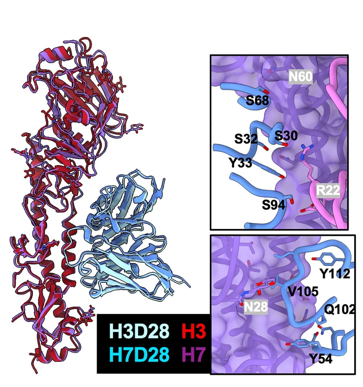 Open access visualization of Protein Structure, Chemical Structure, Cryo-EMPEM, H7ssF, H3ssF
