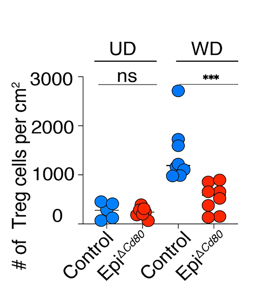Open access visualization of Scatter Plot, Foxp3+Treg Cells, Flow Cytometry, Skin, Wound