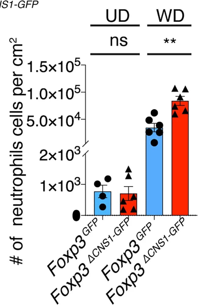 Open access visualization of Bar Plot, Error Bars, Flow Cytometry, Neutrophils, Wounds