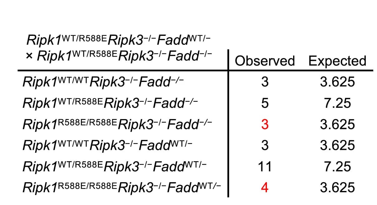 Open access visualization of Table Image, Offspring, Genotypes, Parents