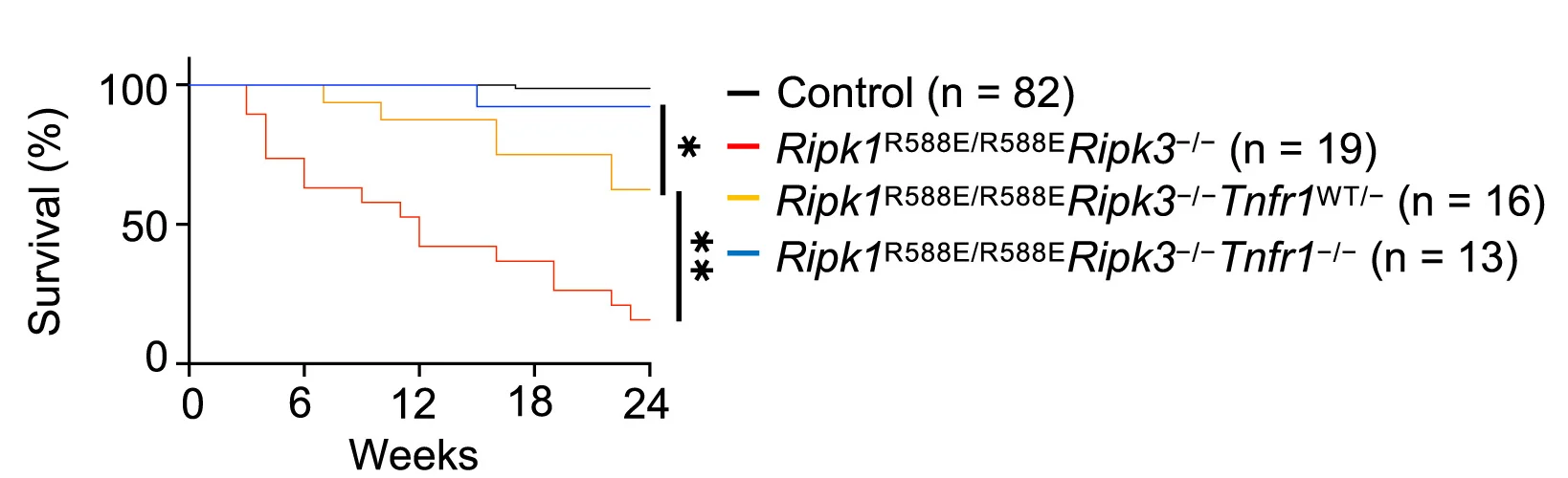 Open access visualization of Line Step, Survival Curve, Kaplan-Meier Survival Graph, Mice, Genotypes