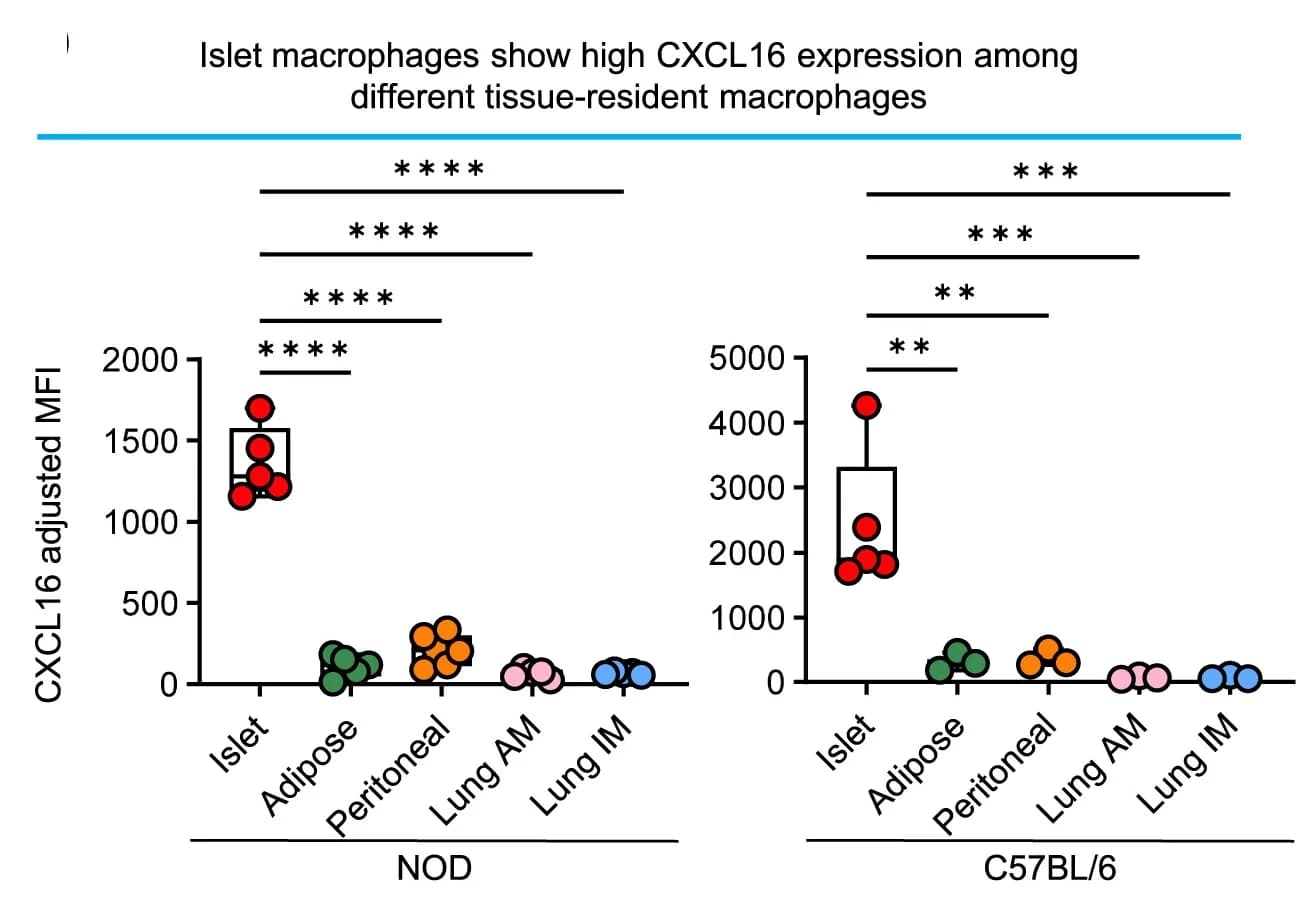 Open access visualization of Box Plot, Scatter Plot, Flow Cytometry Analysis, CXCL16 Expression, Tissue-Resident Macrophages
