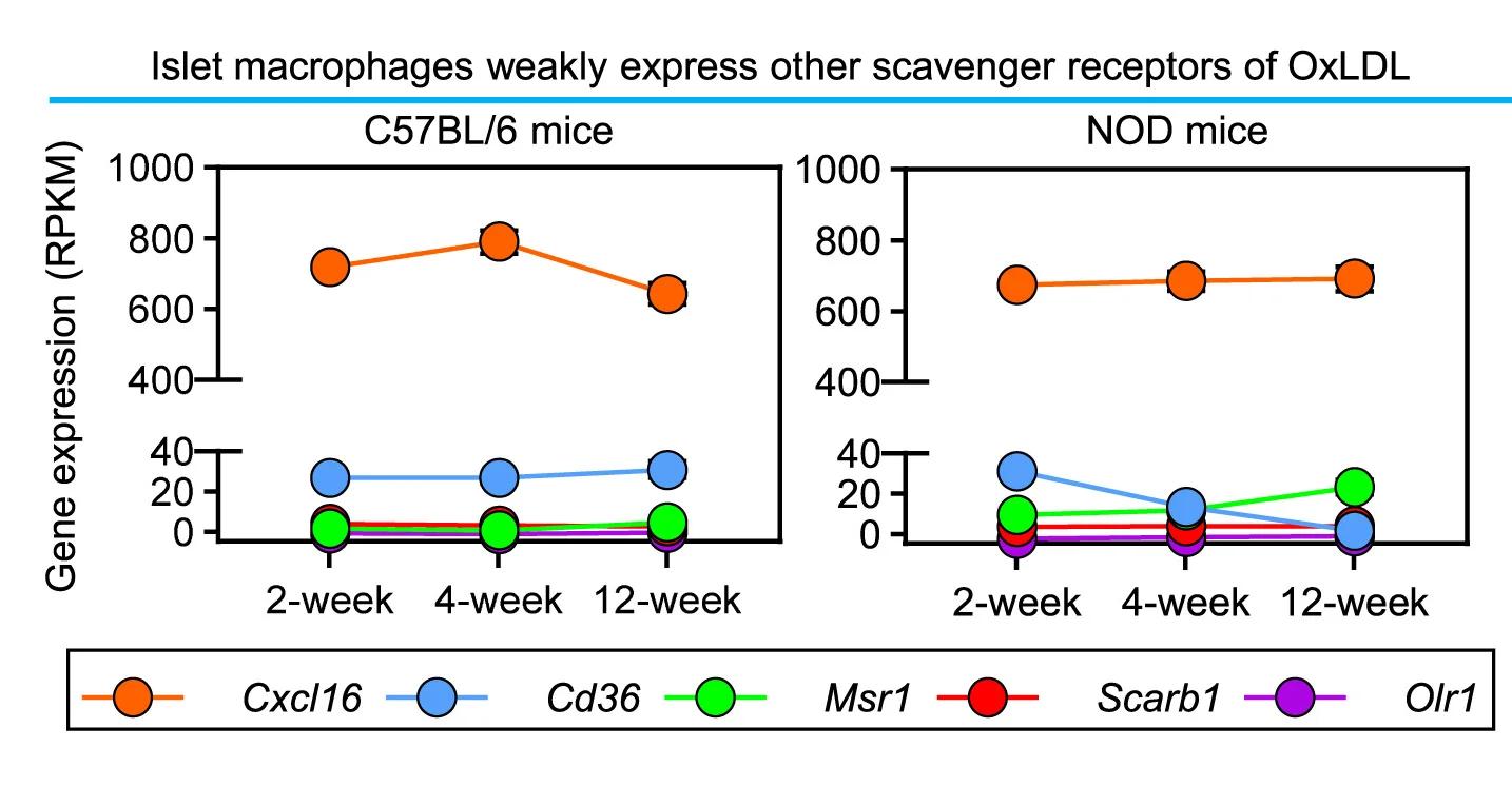 Open access visualization of Line Plot, Scatter Plot, RNA-seq Analysis, Gene Expression, Scavenger Receptors