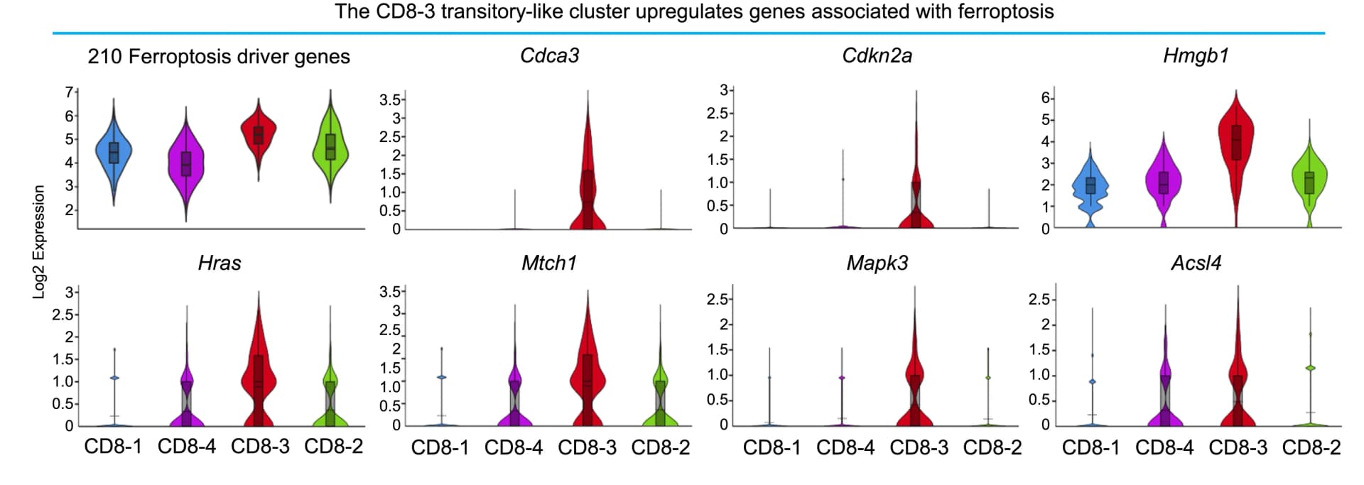 Open access visualization of Violin Plot, Box Plot, Violin Plots, Gene Expression, Ferroptosis