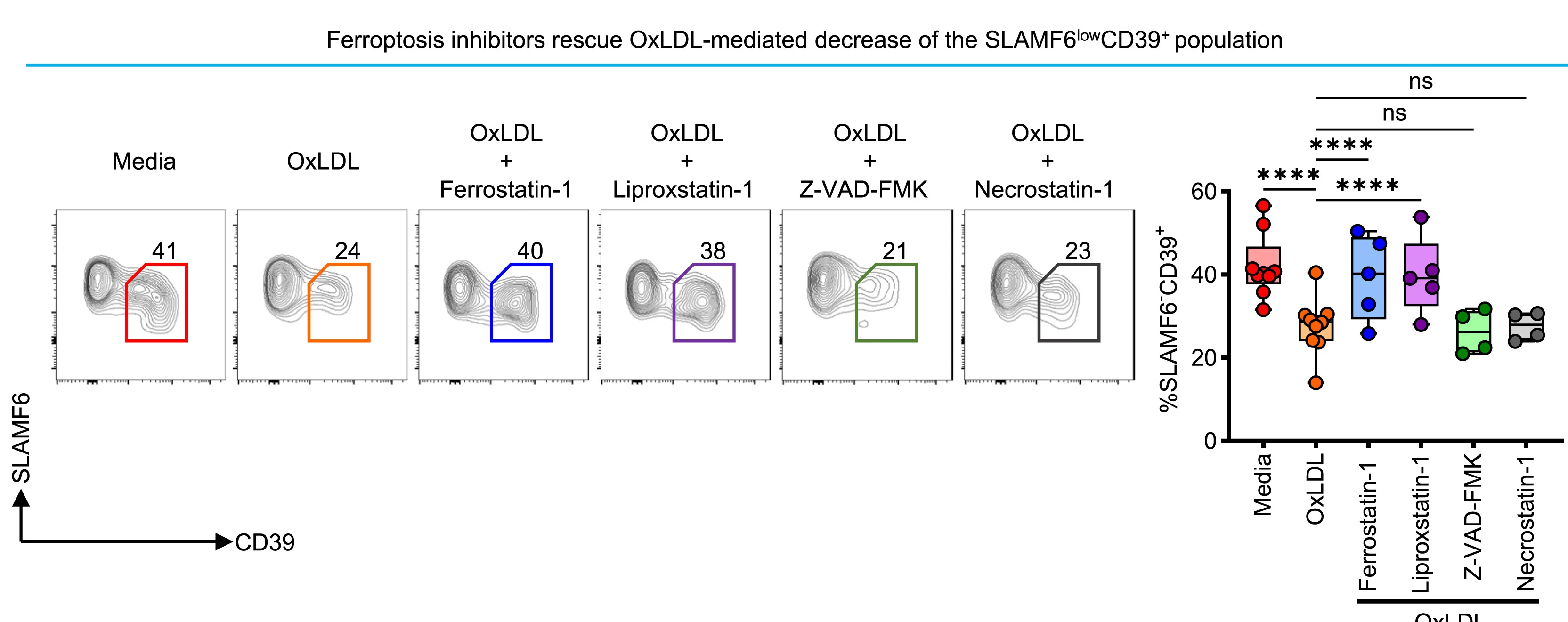 Open access visualization of Violin Plot, Box Plot, Scatter Plot, Flow Cytometry, SLAMF6lowCD39+CD8+T Cells