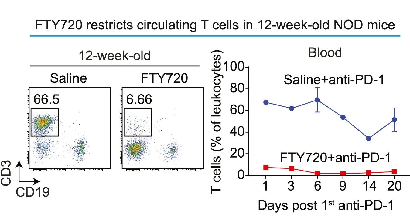 Open access visualization of Scatter Plot, Line Plot, Error Bars, FTY720, Control Saline