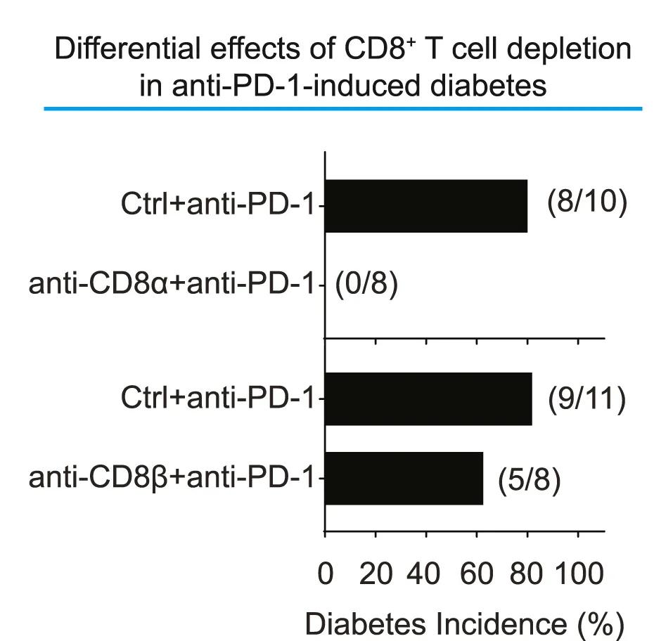 Open access visualization of Bar Plot, Diabetes Incidence, NOD Female Mice, Antibodies