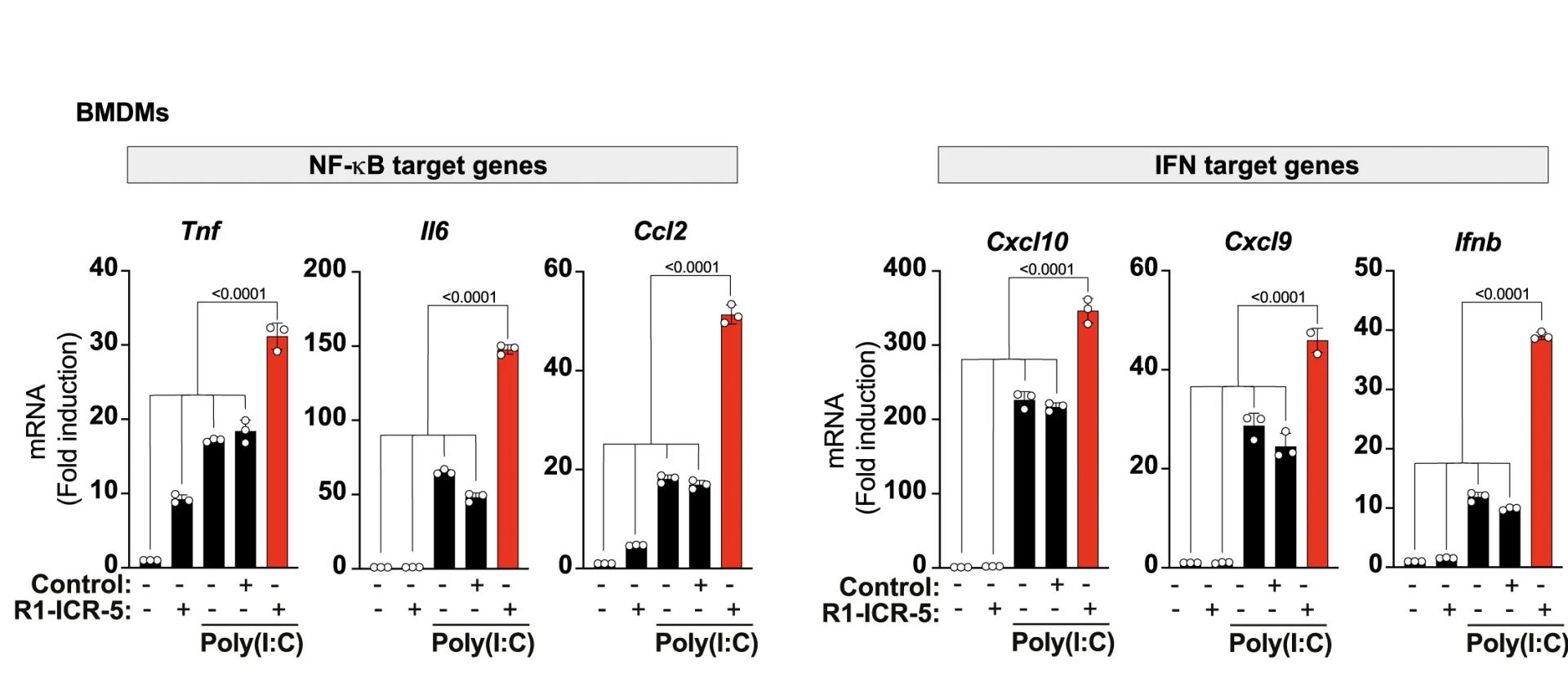 Open access visualization of Bar Plot, Error Bars, mRNA Expression, NF-κB, IFN