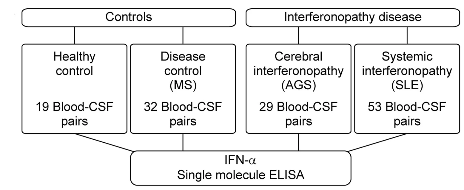 Open access visualization of Flowchart, IFN-alpha, Serum, CSF, Simoa