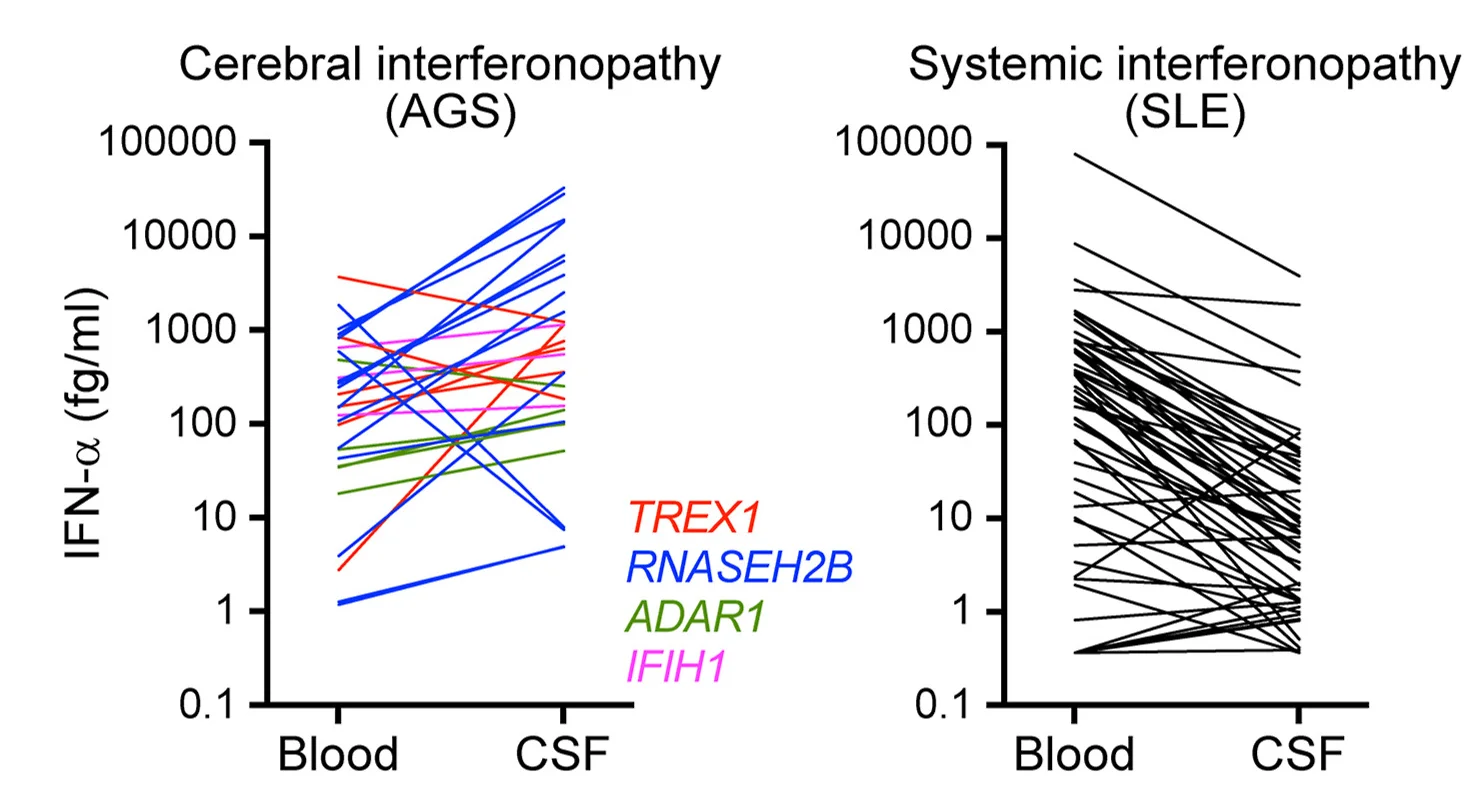 Open access visualization of Line Plot, CSF, Serum, AGS, SLE