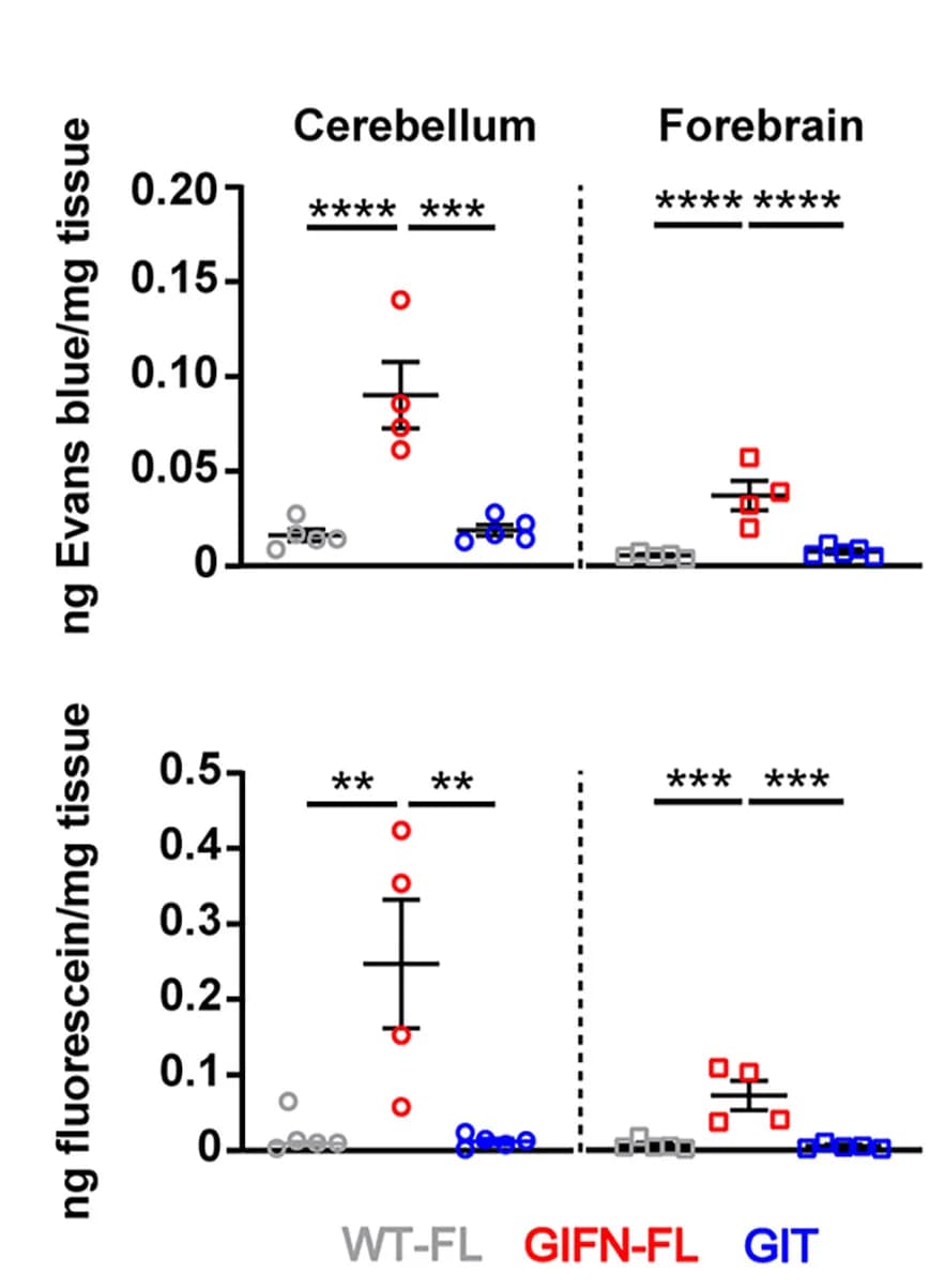 Open access visualization of Scatter Plot, Error Bars, Evans Blue, Fluorescein, Cerebellum