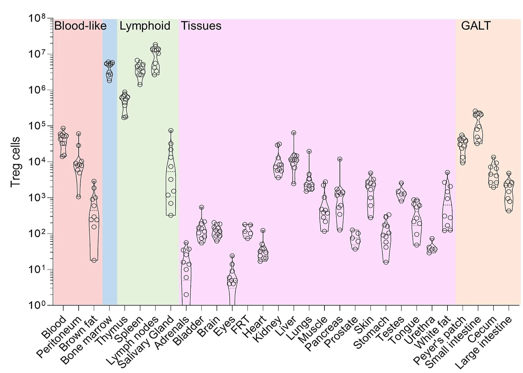 Open access visualization of Violin Plot, Scatter Plot, Treg Cells