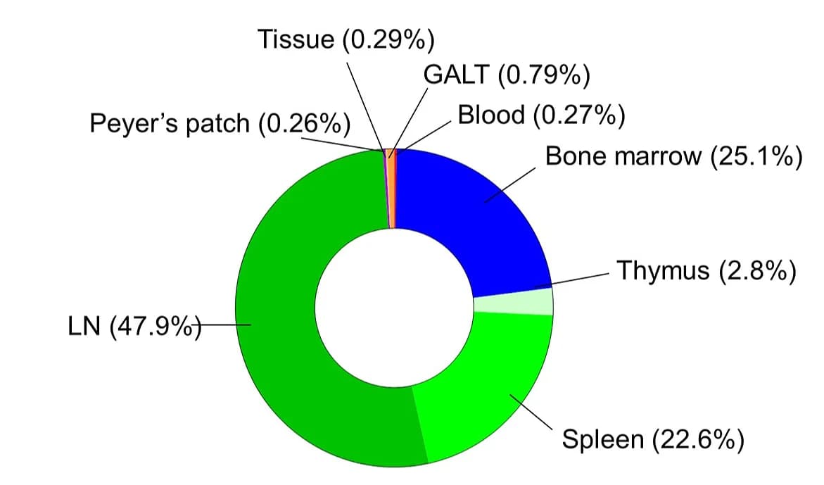Open access visualization of Donut Chart, Treg Cells, Tissues
