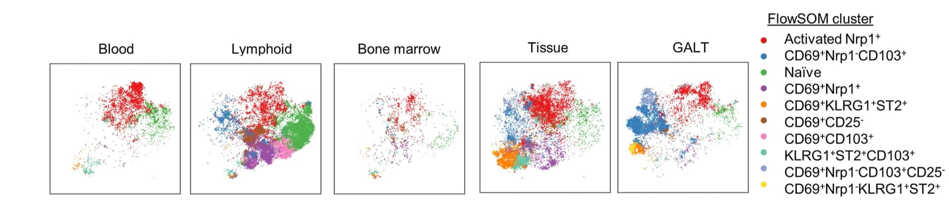 Open access visualization of Scatter Plot, UMAP, PCA, tSNE, FlowSOM