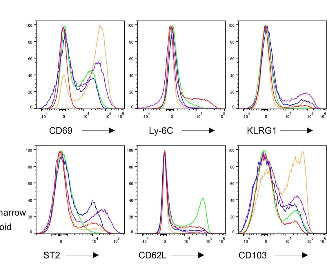 Open access visualization of Line Plot, Density Plot, Flow Cytometry Histograms, Treg Cell Category