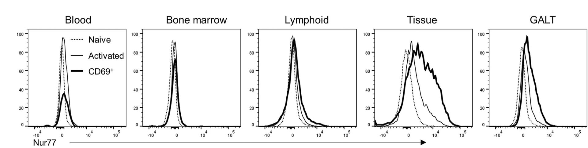 Open access visualization of Line Plot, Density Plot, Flow Cytometry Histograms, Nur77 Expression, Naive Treg Cells
