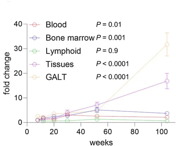 Open access visualization of Line Plot, Error Bars, Treg Cell, Blood, Bone Marrow