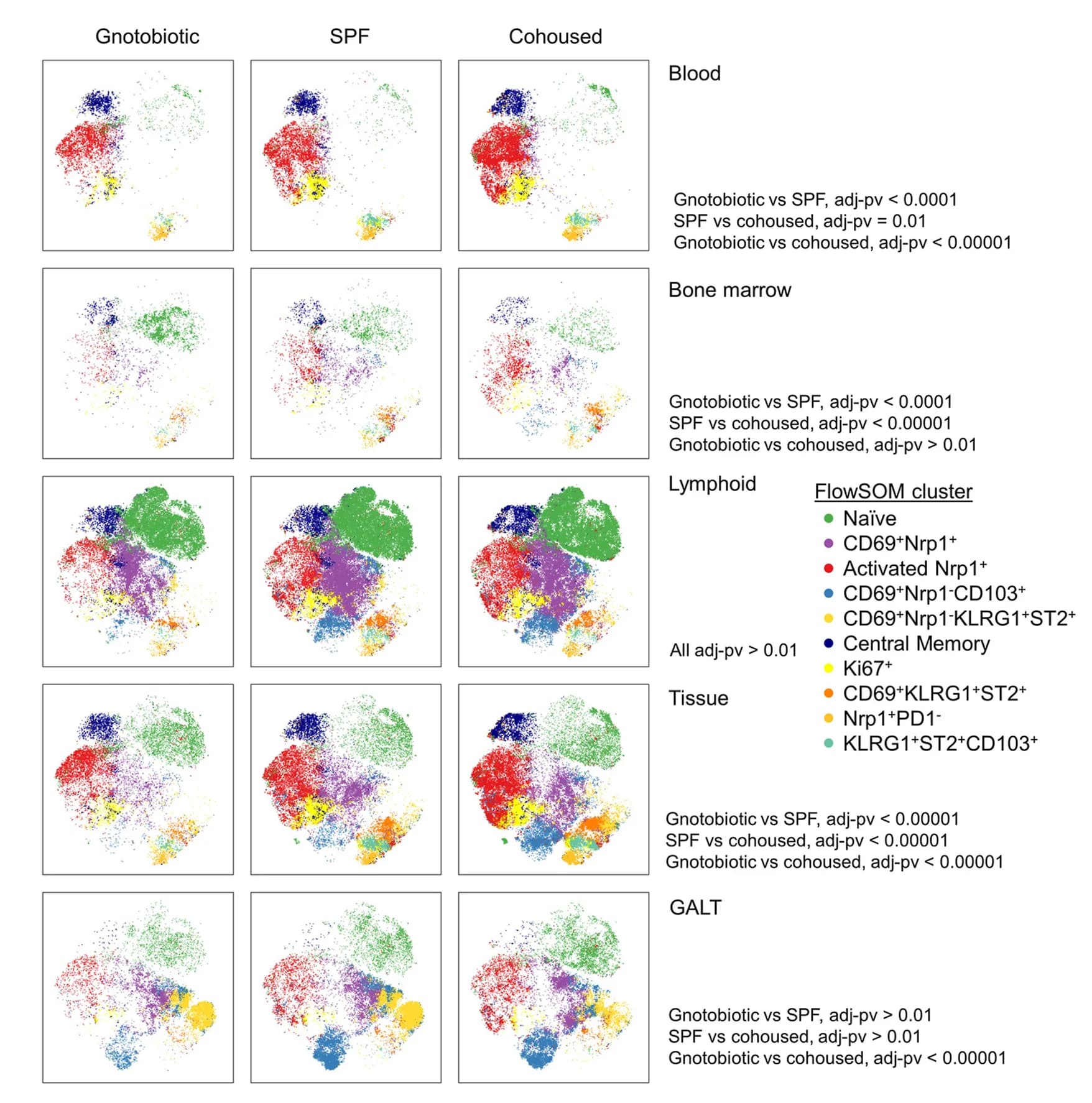 Open access visualization of Scatter Plot, UMAP, PCA, Tissue Treg Cells, Blood