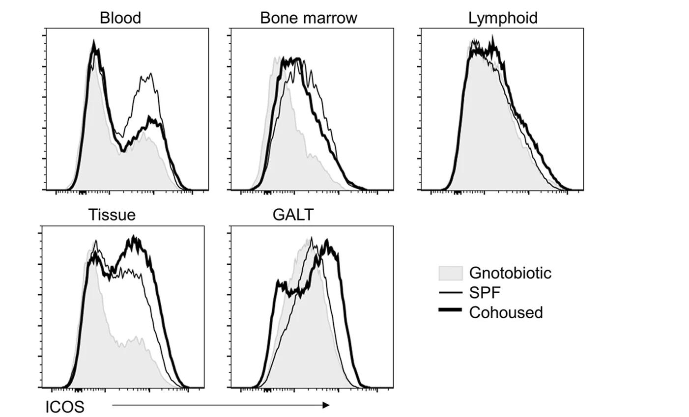 Open access visualization of Line Plot, Density Plot, Histograms, Tissue Classes, Linear Regression