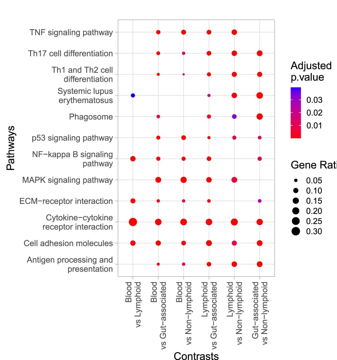 Open access visualization of Scatter Plot, Bubble Plot, Dot Plot, Kyoto Encyclopedia of Genes and Genomes, KEGG Pathways