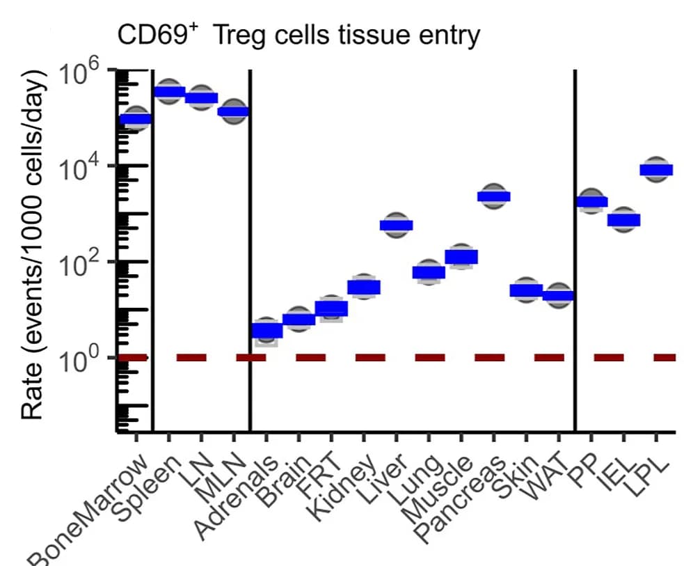 Open access visualization of Scatter Plot, CD69+ Treg Cells, Markov Chain