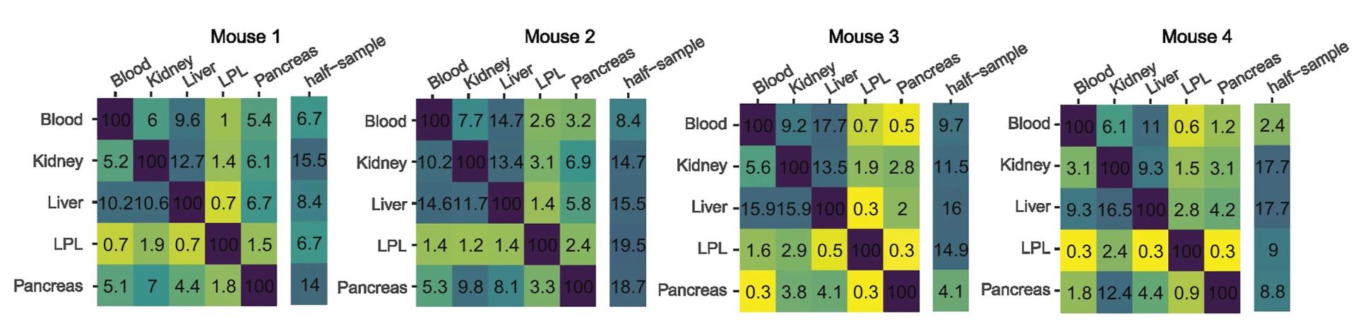 Open access visualization of Heatmap, Heatmaps, TCR Sharing, Percentage of Cells, TCR Repertoire