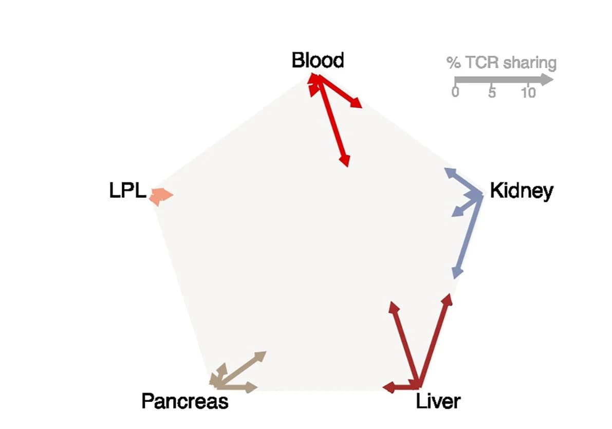 Open access visualization of Radar Chart, TCR Sharing, Percentage of TCR Sharing