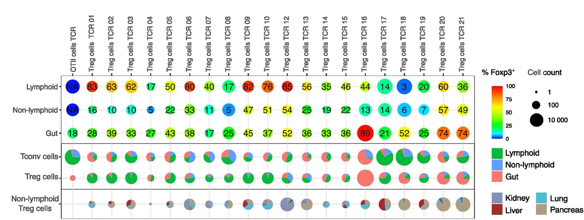 Open access visualization of Bubble Plot, Pie Chart, T Cells, FlowCode Retrogenic TCRs, CD4+ T Cells