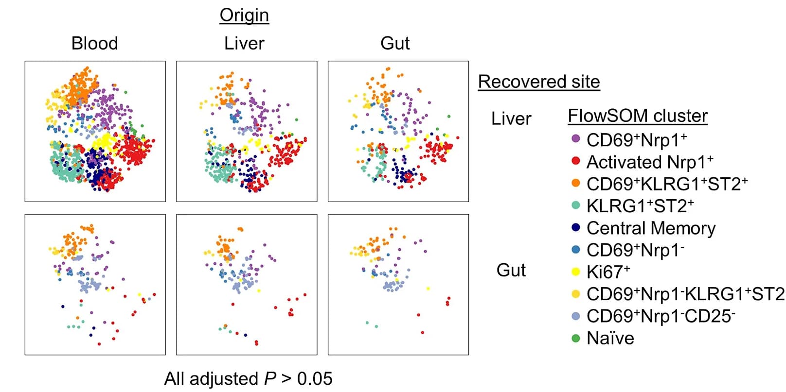 Open access visualization of Scatter Plot, UMAP, PCA, tSNE Plots, Phenotypic Profiles