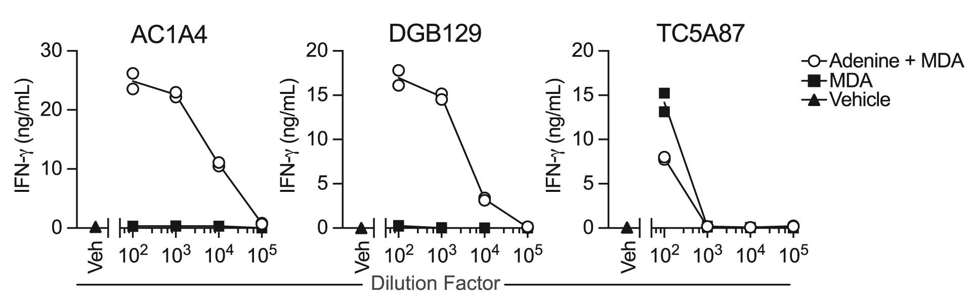 Open access visualization of Line Plot, MR1T Cell Clones, Adenine, MDA, IFN-γ Release