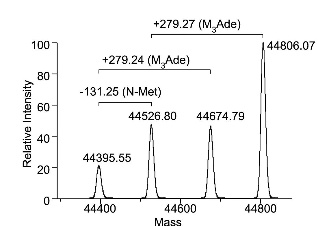 Open access visualization of Line Plot, Mass Spectrometry, MR1, M3Ade, Schiff Base