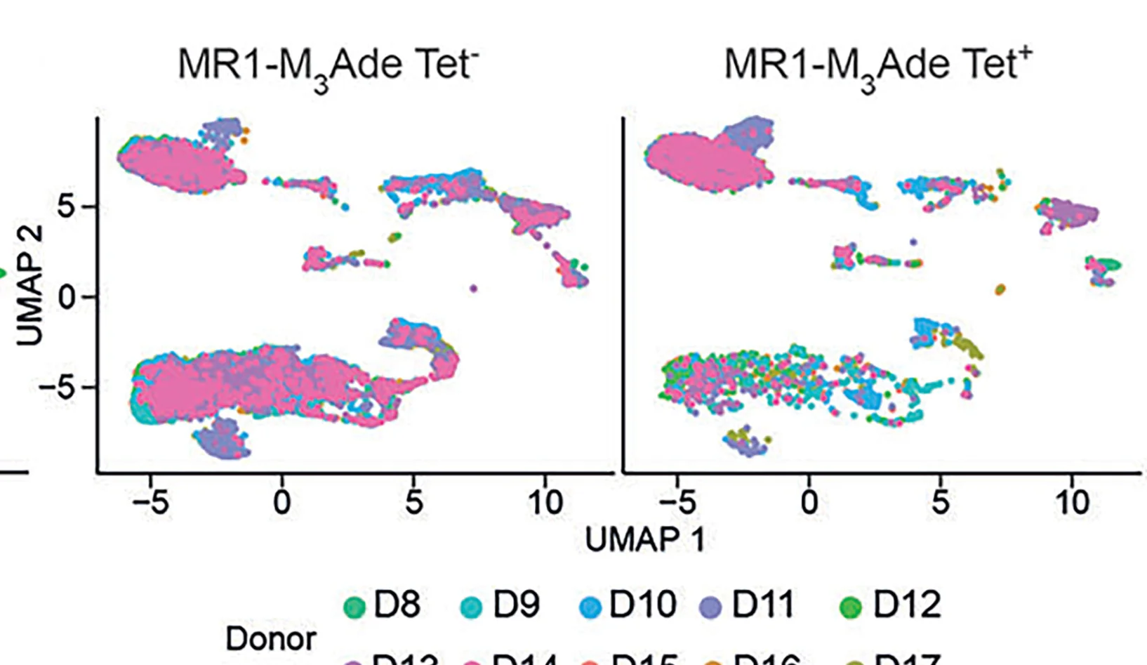Open access visualization of Scatter Plot, UMAP, Cell Clustering, Donor Identity