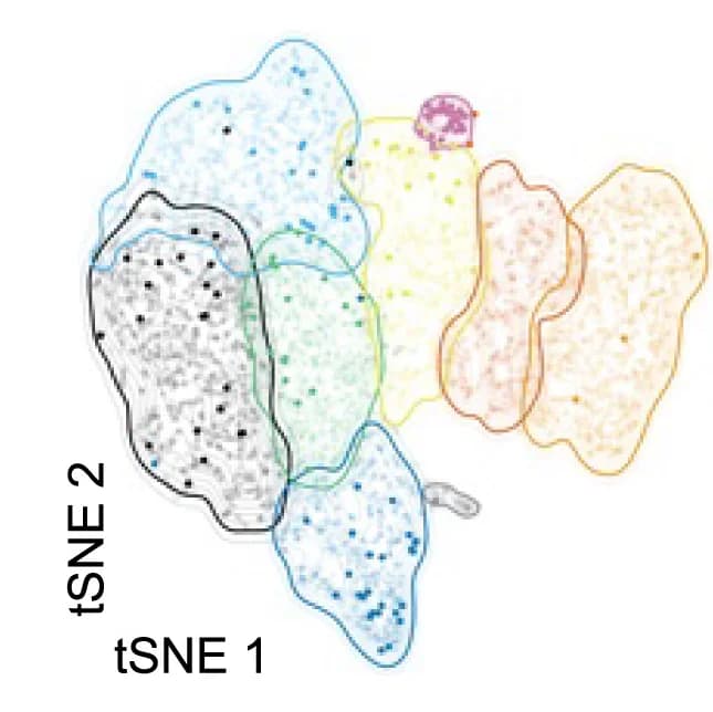 Open access visualization of Scatter Plot, UMAP, Localization, MR1-M3Ade tetramer+ Cells, Non-MAIT TCRs