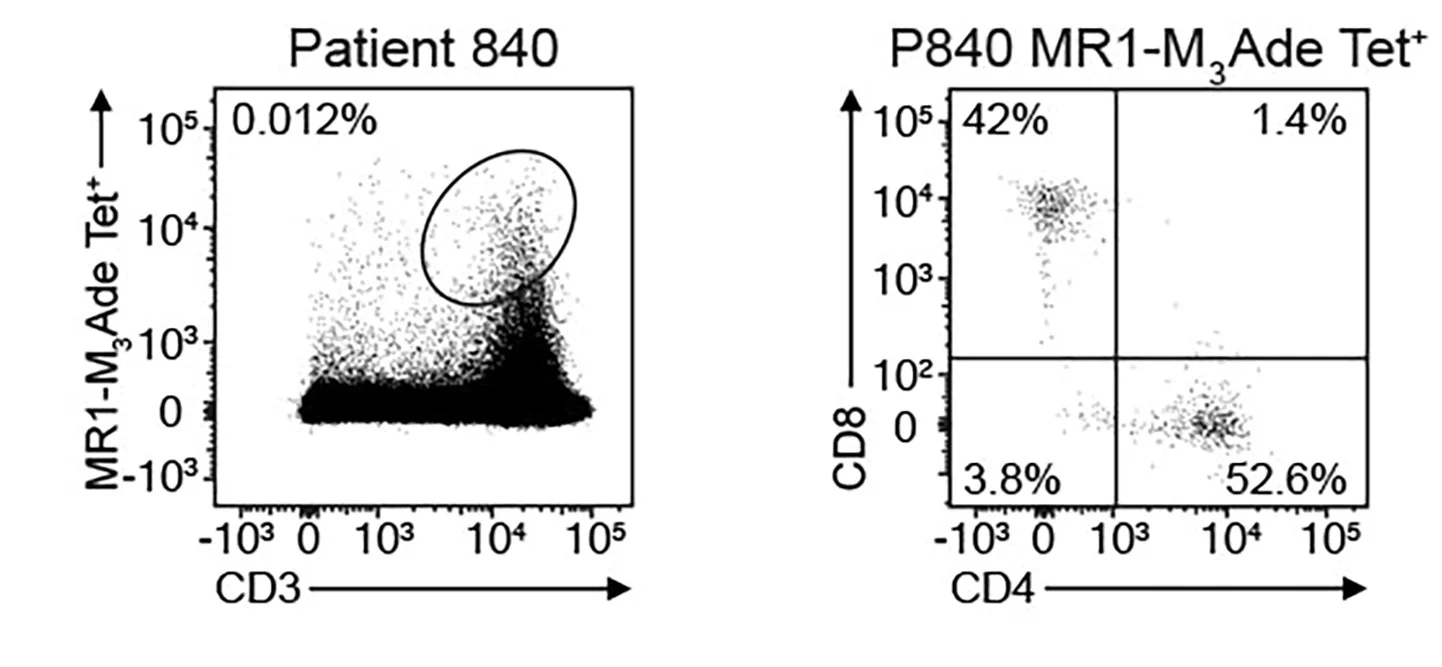 Open access visualization of Scatter Plot, MR1-M3Ade Tetramer, CD3+ T Cells, Tumor-Infiltrating Lymphocytes, NSCLC Patients