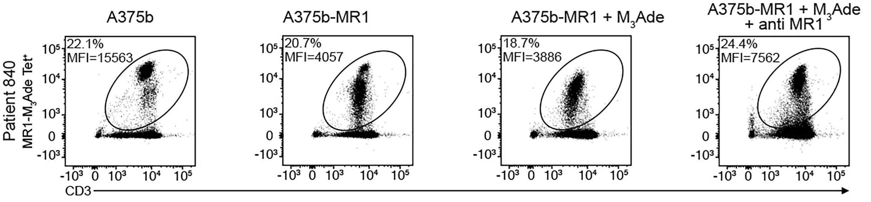 Open access visualization of Scatter Plot, MR1-M3Ade Tetramer, T Cell Lines, Tumor-Infiltrating Lymphocytes, A375b Cells