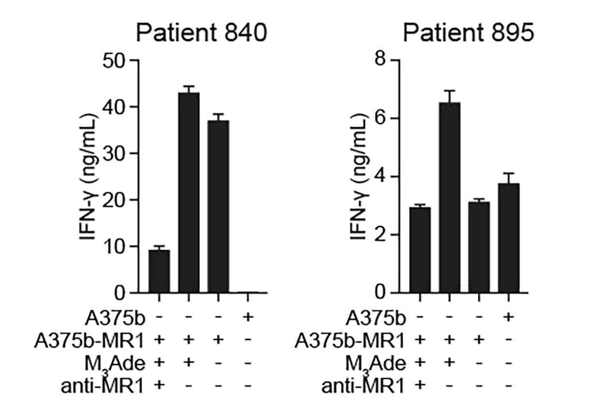 Open access visualization of Bar Plot, Error Bars, NSCLC TIL Lines, IFN-γ Release
